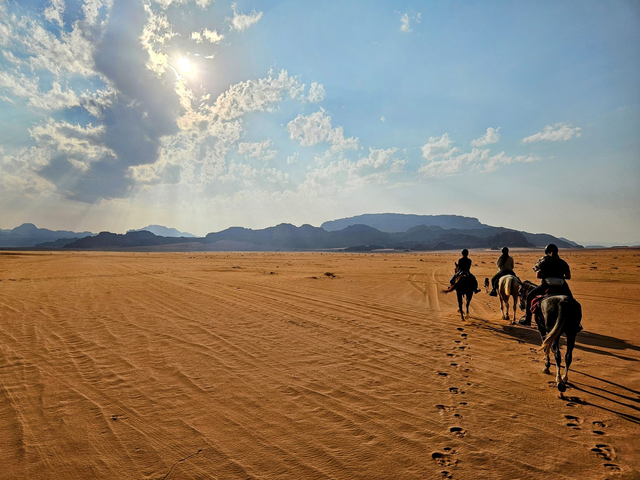 10-Day Jordan Horseback Adventure: Explore Petra & Wadi Rum on an Equestrian Journey